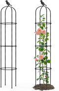 Garden Obelisk Trellis for Climbing Plants Outdoor by TrellumeGardenHome