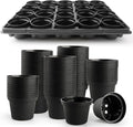 3 Inch Plastic Plant Pots 100 Pcs by RooTrimmer