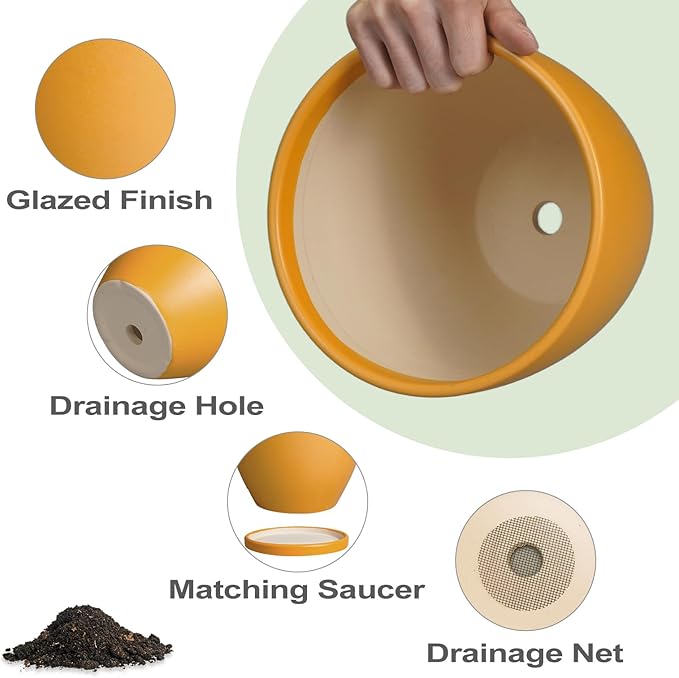 10 Inch Plant Pot - Image 6
