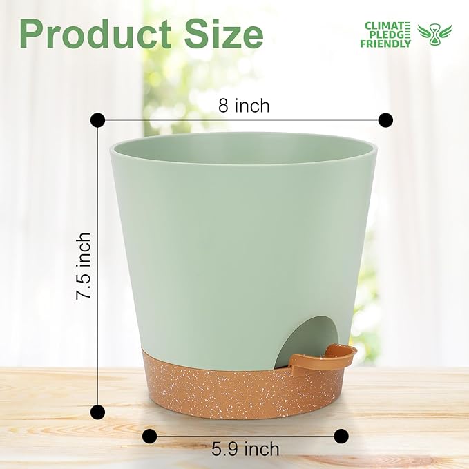 8-Inch Plant Pots, Self-Watering Planters - Image 3