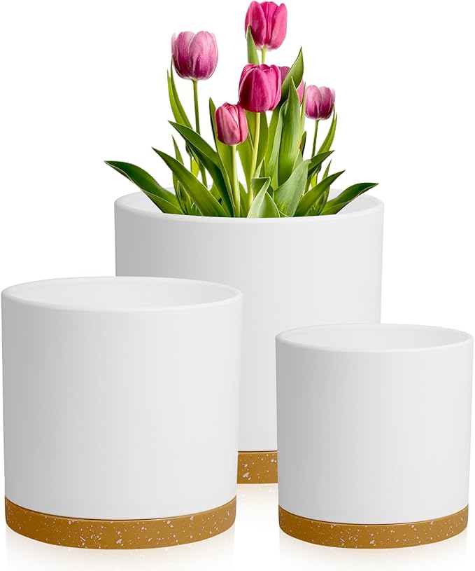8/7/6 inch Plant Pots, 3 Pack Cylinder Flower Pots by Meowell