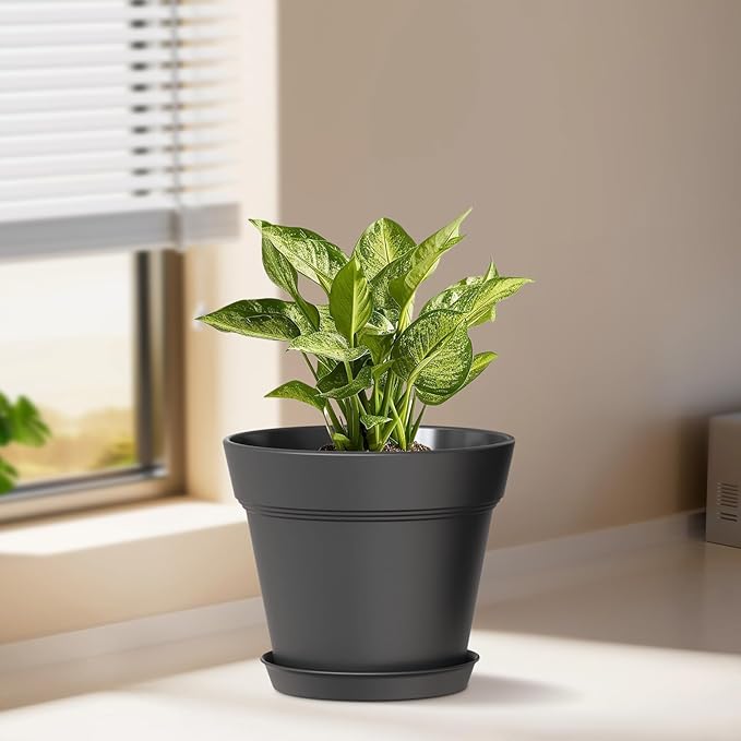6 Inch Thick Plastic Plant Pots - Image 2