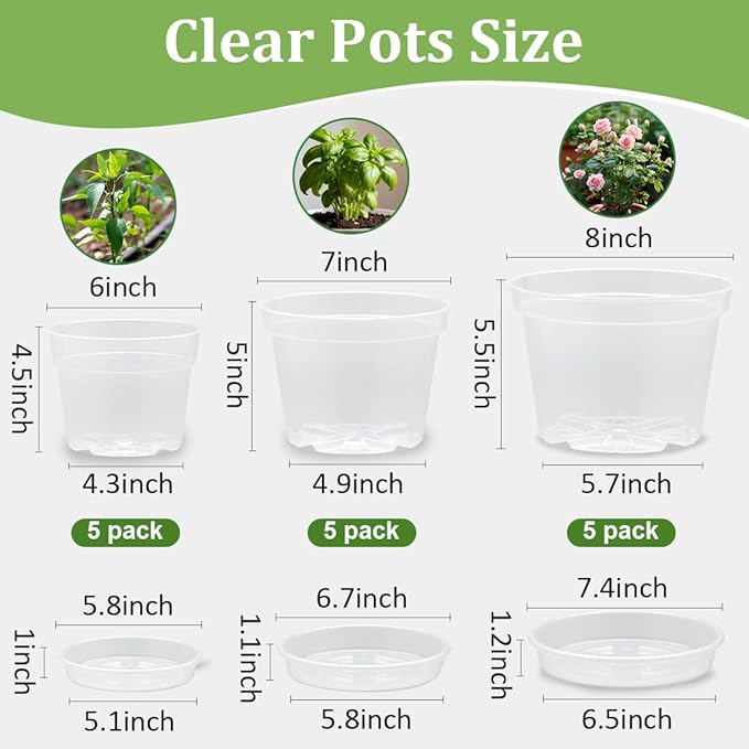 15 Pack 8/7/6 Inch Clear Nursery Pots - Image 2