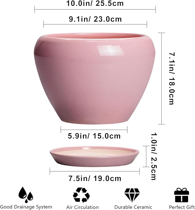 10 Inch Plant Pot - Image 3