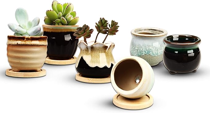 Brajttt 2.1 Inch Succulent Pot - Image 3