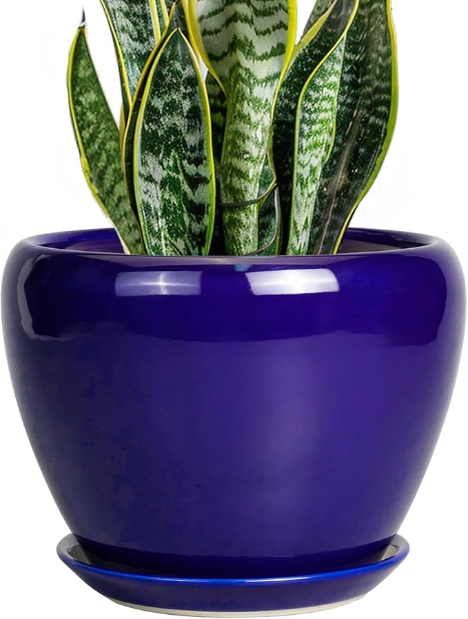 Ceramic Plant Pot 8 Inch by Ceramicfor