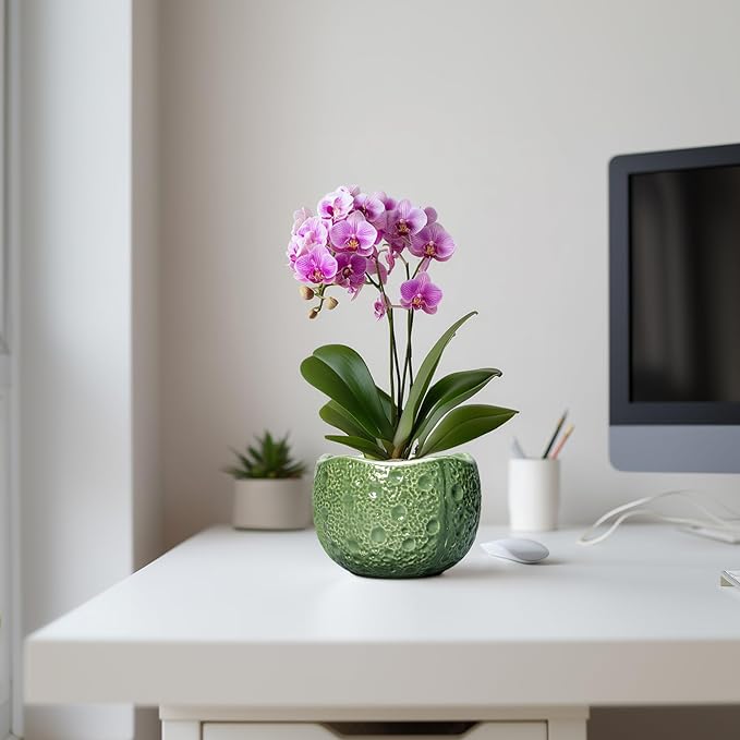 6 Inch Plant Pot - Image 5