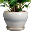 Planter Pot 6 Inch by Ceramicfor