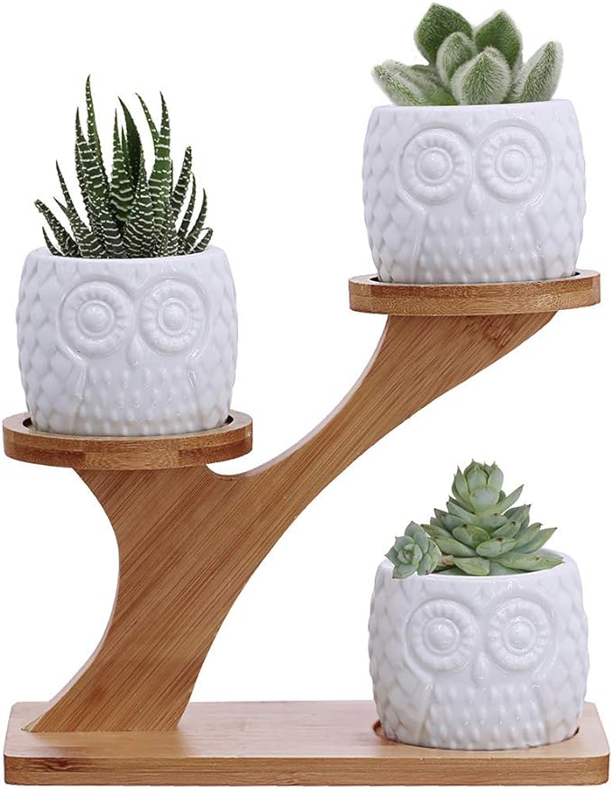 3pcs Owl Succulent Pots with 3 Tier Bamboo Saucers Stand Holder by Winlyn
