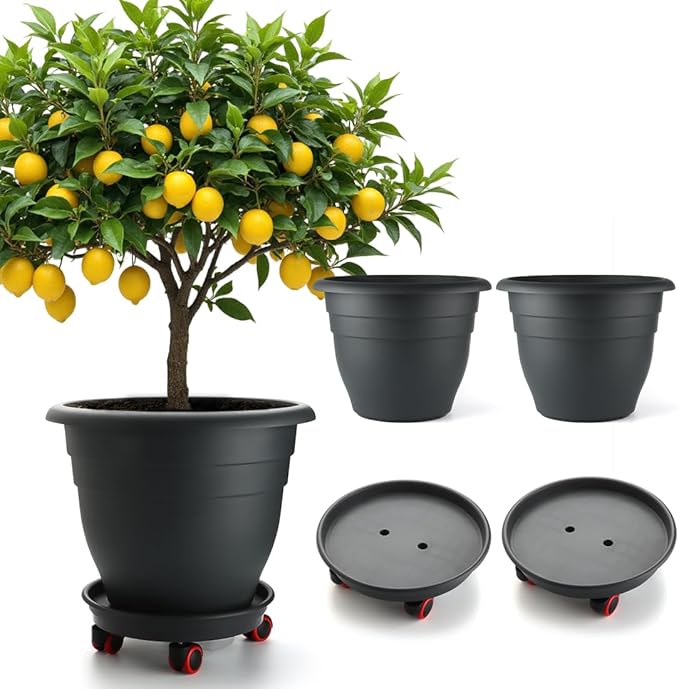 3-Pack Jumbo 15.7 Inch Planters by RooTrimmer