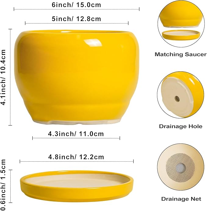 SQOWL 6 Inch Plant Pot - Image 3
