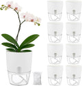 Planterhoma 8 Pack Self Watering Pots by Planterhoma