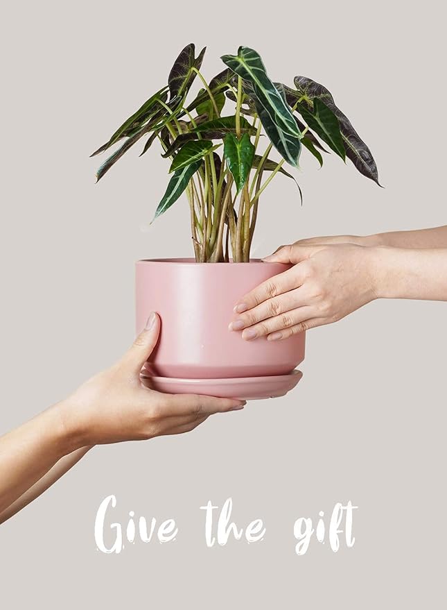 LE TAUCI Ceramic Plant Pots, 4.3+5.3+6.8 inch, Planters - Image 7
