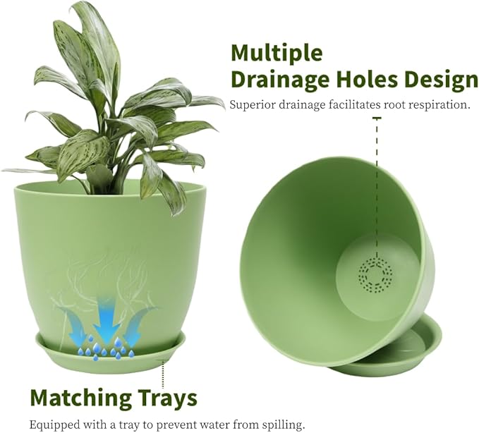 Plant Pots 8 Inch Set of 6, Flower Pots - Image 3
