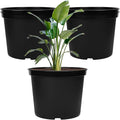 GREANER 5 Gallon Pots for Plants, Plastic Seed Starting Container for Succulents by GREANER
