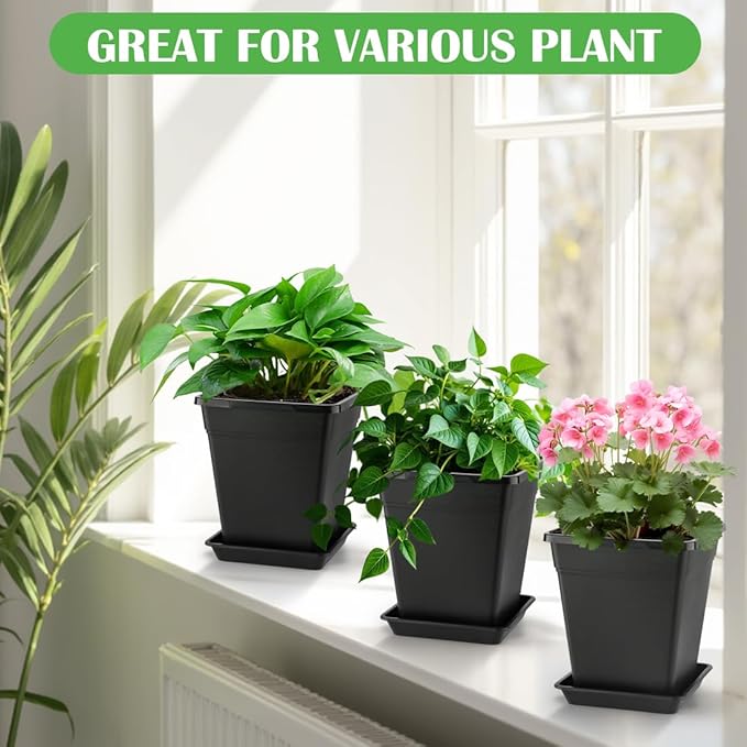 BTPLASTIK Square Plastic Planter 8 Inch, Plant Pots - Image 6