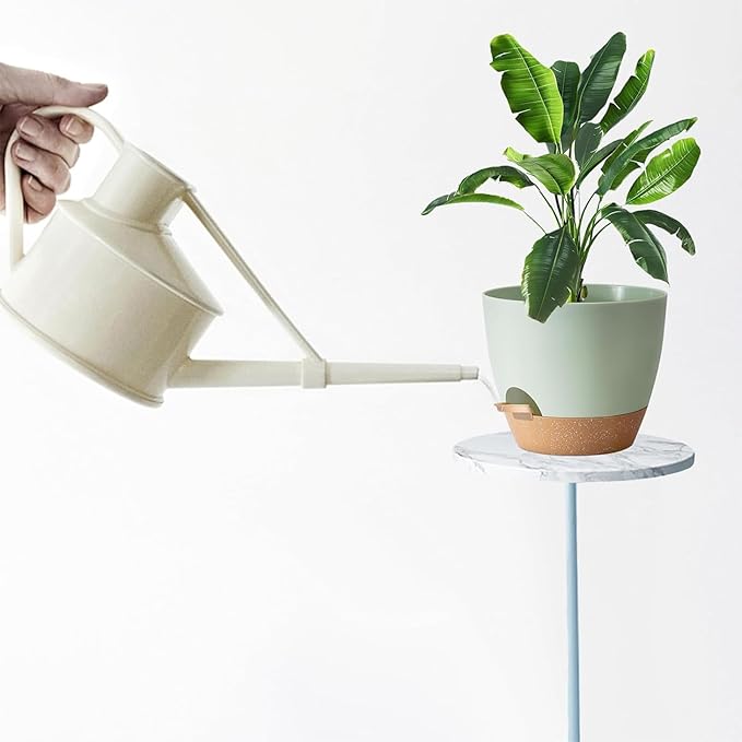5-Pack Plant Pots with Drainage - Image 5