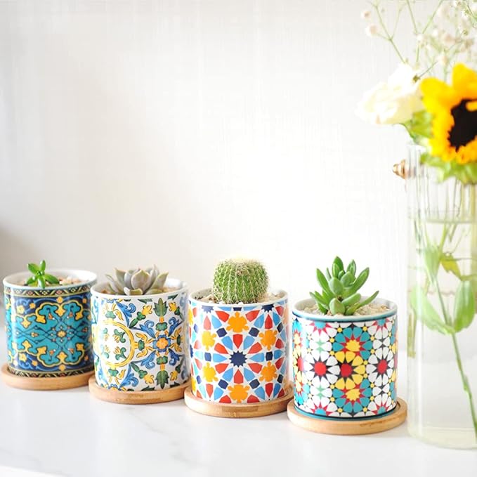 6 Pack Mandala Succulent Plant Pot - Image 2