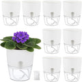 Planterhoma 8 Pack Self Watering Pots by Planterhoma