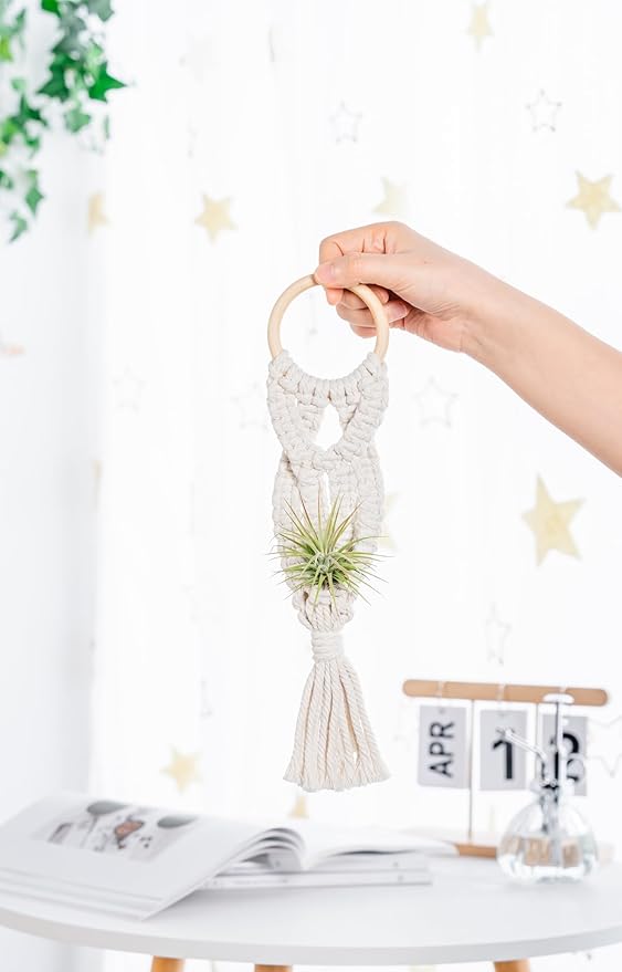Melphoe 4 Pack Air Plants Holders Stand Air Fern Macrame Plant Hanger Indoor - Image 2