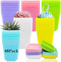 Haawooky 48 PCS 3 Inch Colorful Plastic Plant Pot, Plastic Square Nursery Pots by Haawooky