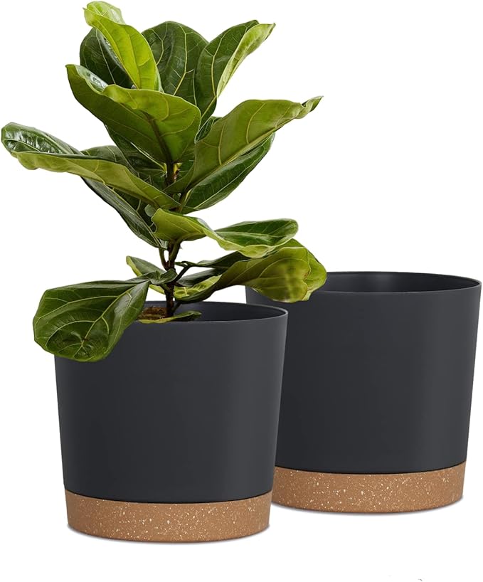 kubvici Plant Pots for Indoor Plants, 2 Pack 8 Inch Plastic Flower Pot Planters by kubvici