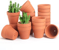 FAMILY 20 Pack 3.15 inch Terra Cotta Clay Flower Pots by Unknown