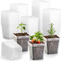 120 Packs Square Clear Nursery Pots by RooTrimmer