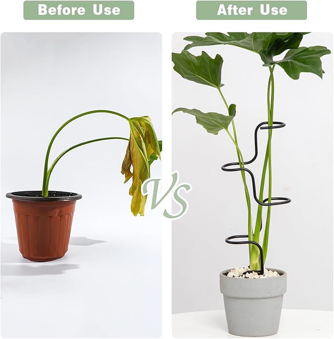 3PCS Indoor Plant Support Stakes - Image 3