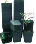 Square Nursery Seedling Pot 3.5 Inches 90 Pcs, Small Nursery Pot Plastic Thick by RooTrimmer