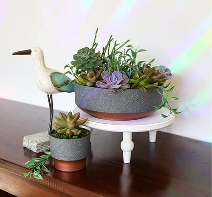 The HC Companies 8 Inch Round Plastic Succulent Capri Bowl 8"x8"x3" in Faux - Image 5
