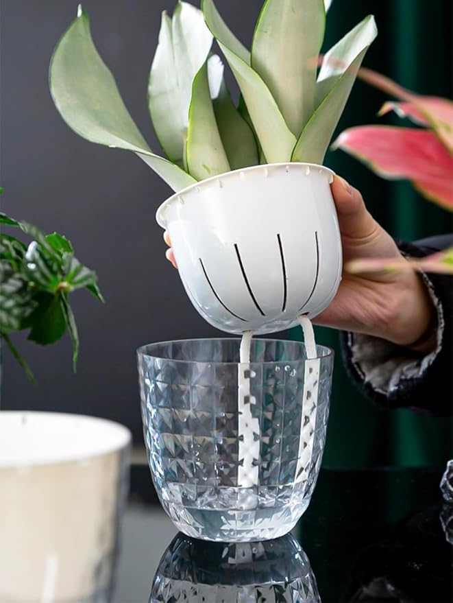 6 Pack 4 inch Self Watering Pots Planters - Image 7