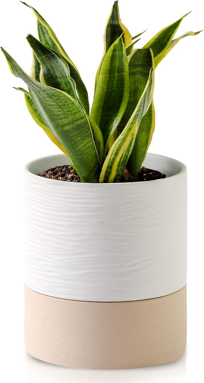 Nihow Self Watering Plant Pot: 6 Inch Ceramic Planter by Nihow
