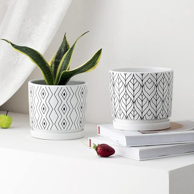 Ton Sin Plant Pots, 5.5 Inch White Pots - Image 6