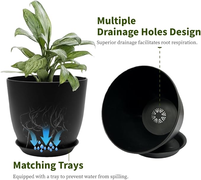 Plant Pots 8 Inch Set of 6, Flower Pots - Image 3