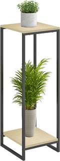34" Tall Plant Stand Indoor, 2-Tier Modern Plant Shelf, Corner Flower Pot by GreenLivingSpaces