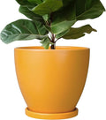 10 Inch Plant Pot by EPFamily