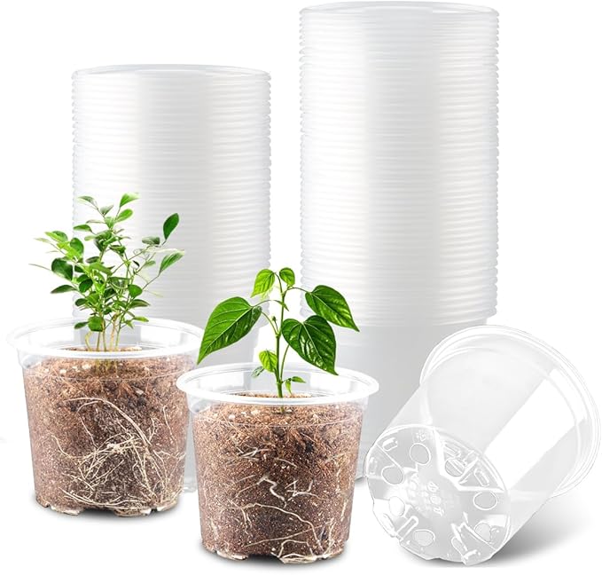 100 Pack 4 Inch Clear Plant pots by RooTrimmer