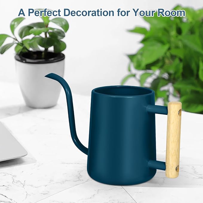Watering Can Indoor Plants, 35 oz/1000 ml Metal Stainless Steel Watering Can Pot - Image 8