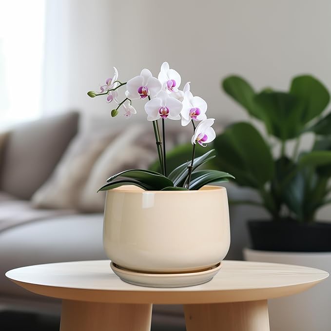 G EPGardening Ceramic Planter - Image 2
