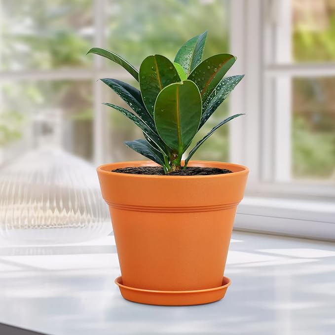 6 inch Plastic Nursery Pots, 16 Pack Plant Pots - Image 6