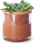 Phoenix Vine 4 Inch Self Watering Plants Pot, Design Terracotta Pot by Phoenix+Vine