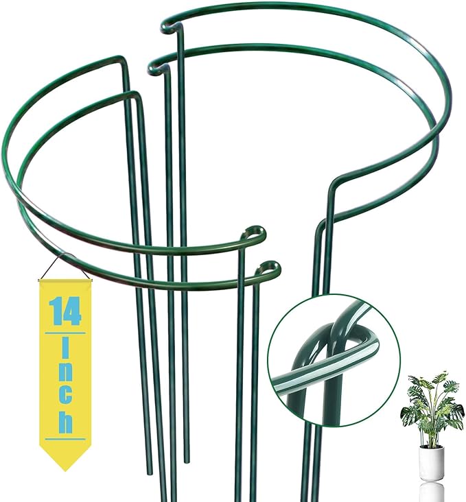 Snake Plant Support Stake by WooWellGoGoGoProducts
