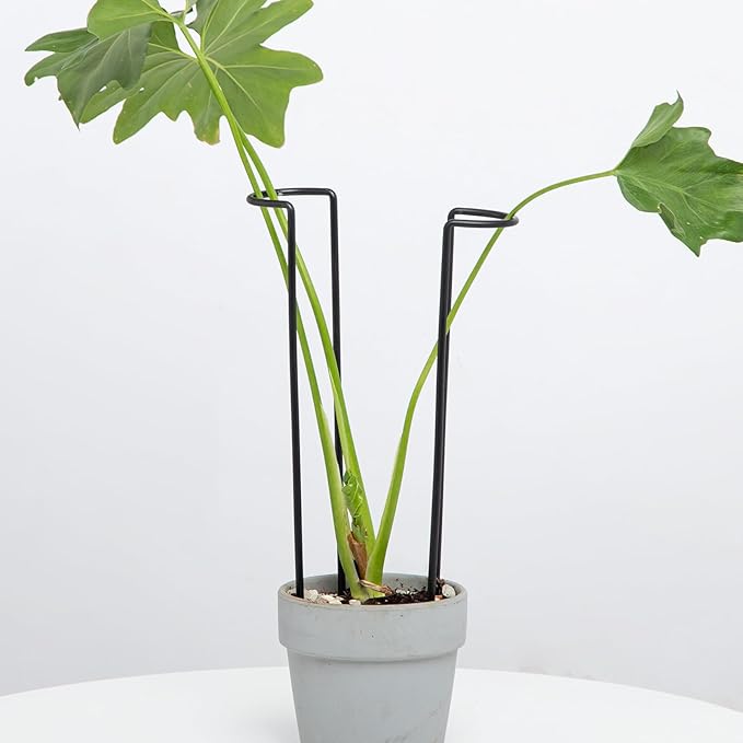 10-Pack Monstera Plant Support by Goooxim