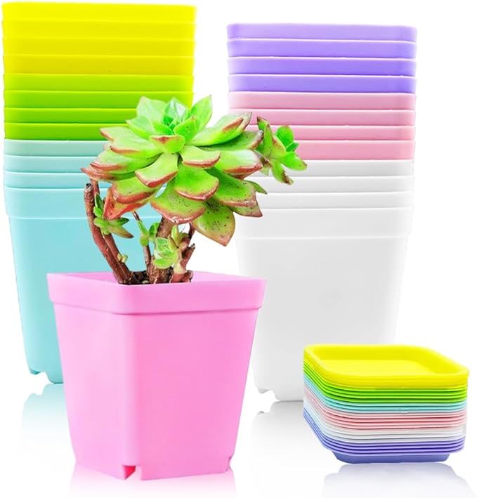 Haawooky 24 Pack Colorful Flower Pots Square Plastic Plant Pots Succulent by Haawooky