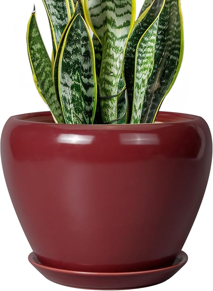 Ceramic Planter by Ceramicfor