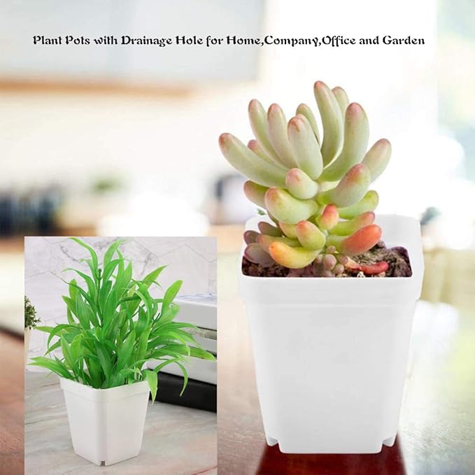 24 Pack 3 Inch White Square Plastic Plant Pots - Image 6