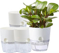 6Inch Self Watering Planter Pots 4 Pack Plant Pot by Thorkok