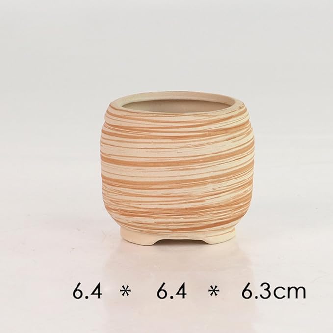Sun-E 6 in Set 7.6 cm Ceramic Wooden Pattern Succulent Plant Pot Cactus Plant - Image 4