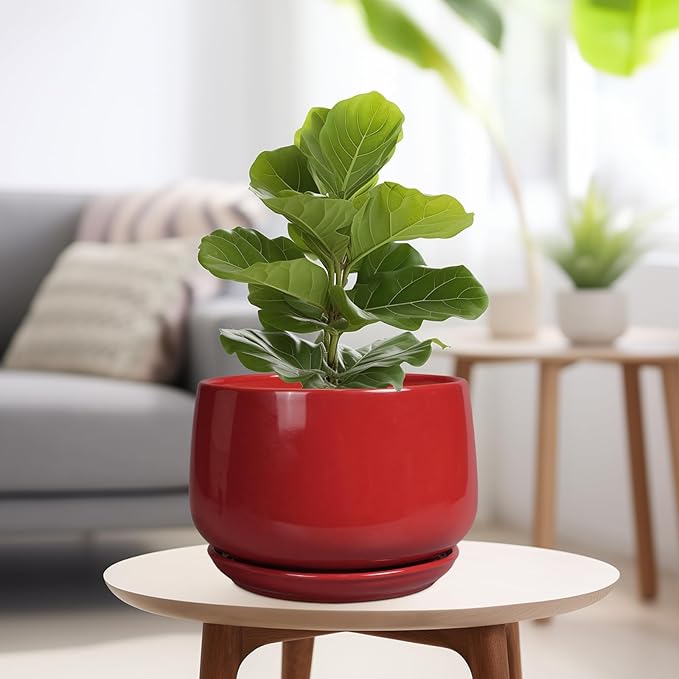 G EPGardening Ceramic Plant Pots - Image 4